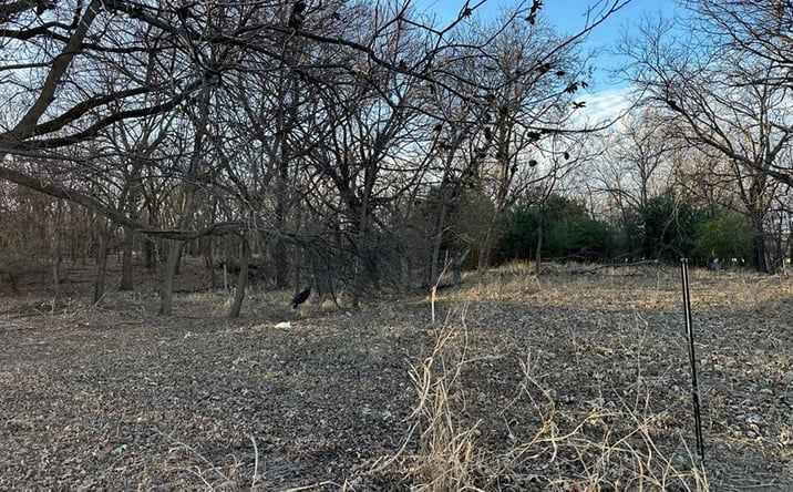 Pictures of Land property located at 1013 Lillie Kimble St, Brownwood, TX 76801 for sales - image #1