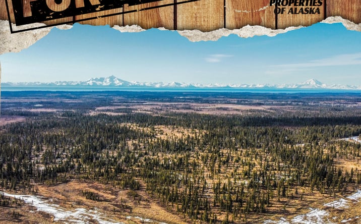 Pictures of Land property located at 33790 Handcart Rd, Anchor Point, AK 99556 for sales - image #1