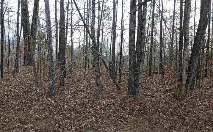 Pictures of Land, Mixed Use property located at 00 Highway 18, Medon, TN 38356 for sales - image #1
