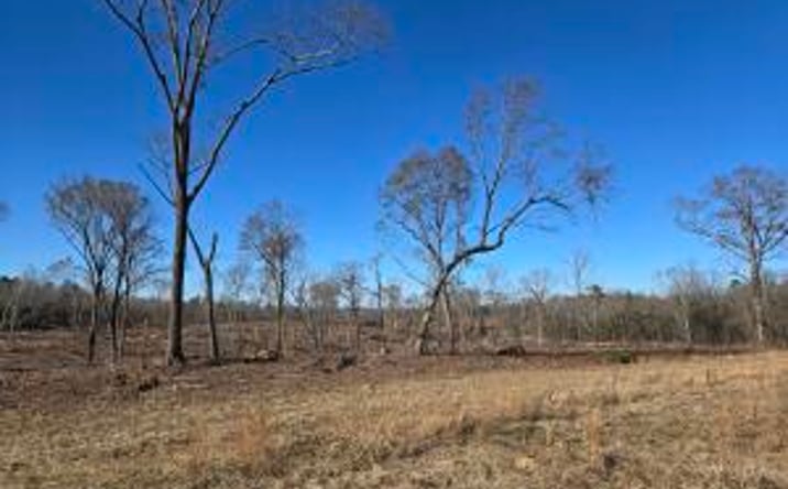 Pictures of Land property located at Lot D Atomic Road, Beech Island, SC 29842 for sales - image #1