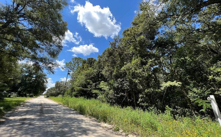 Pictures of Land property located at 0 NE 157th Ave, Williston, FL 32696 for sales - image #1
