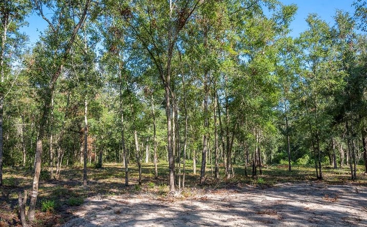Pictures of Land property located at 428 NE 582nd Ave, Old Town, FL 32680 for sales - image #1