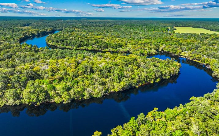 Pictures of Land property located at 0 NE 519th Ave, Old Town, FL 32680 for sales - image #1