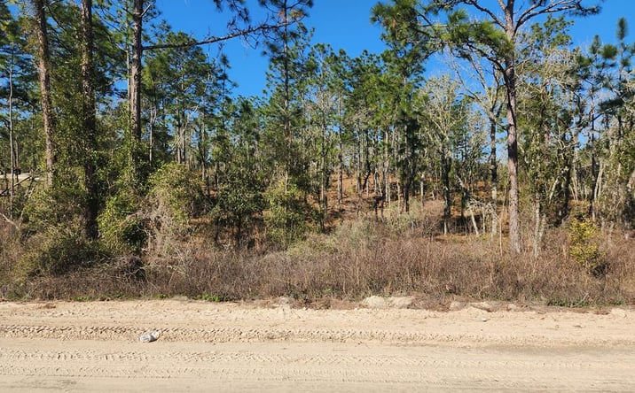 Pictures of Land property located at SE 148th Ave, Williston, FL 32696 for sales - image #1