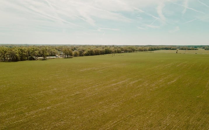 Pictures of Land property located at 000 SW 180th Ave, Dunnellon, FL 34432 for sales - image #1