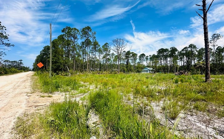 Pictures of Land property located at 0000 Pelican Pl, Perry, FL 32348 for sales - image #1