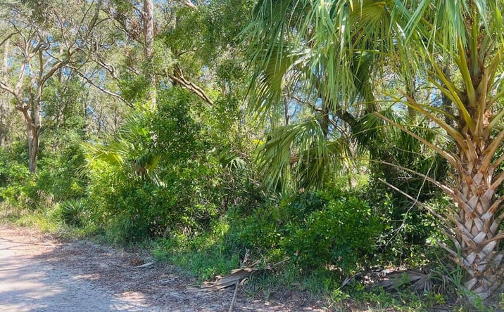 Pictures of Land property located at Lot 16 NW 110th Ave, Chiefland, FL 32626 for sales - image #1