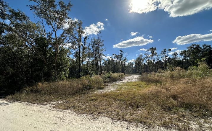Pictures of Land property located at 293 NE 682nd Ave, Old Town, FL 32680 for sales - image #1