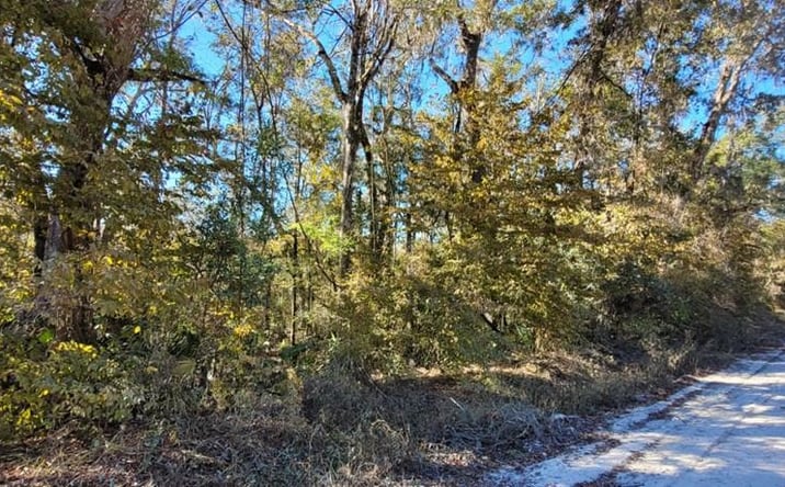 Pictures of Land property located at 00 NE 230th Ave, Old Town, FL 32680 for sales - image #1