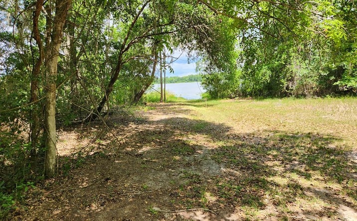 Pictures of Land property located at 122nd Ln, Hawthorne, FL 32640 for sales - image #1