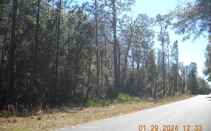 Pictures of Land property located at TBD NE 808th St, Old Town, FL 32680 for sales - image #1