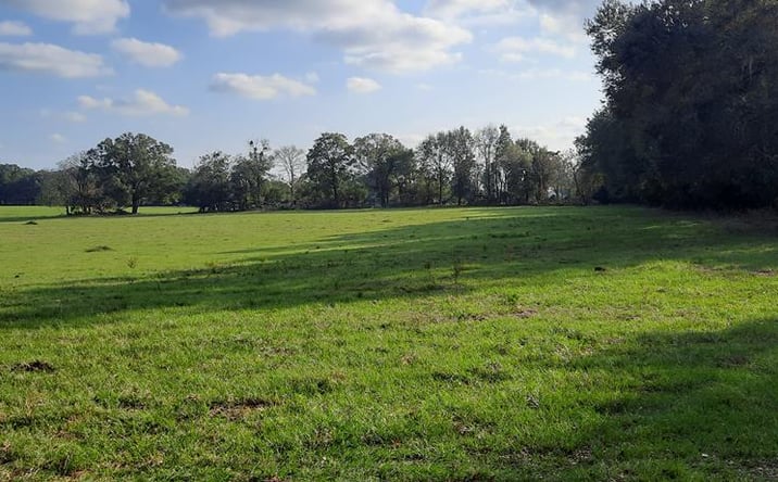 Pictures of Land property located at 232/344 County Road 344, Bell, FL 32619 for sales - image #1