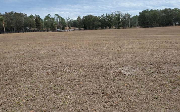 Pictures of Land property located at 3954 NW 31st Ave, Bell, FL 32619 for sales - image #1