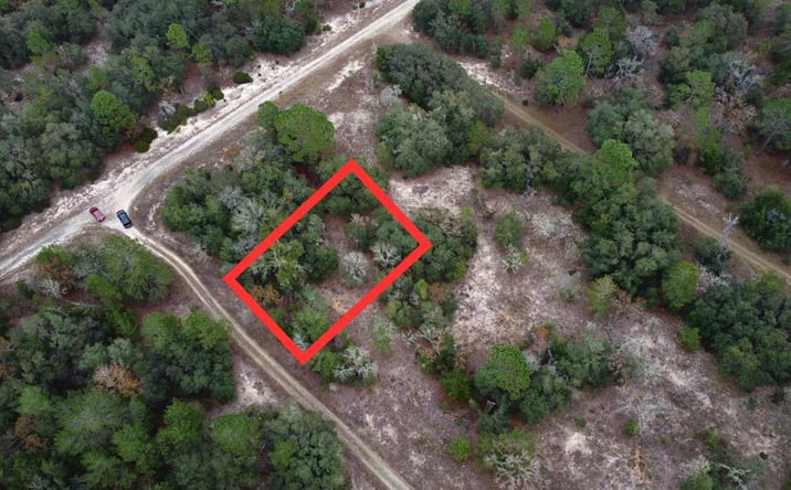 Pictures of Land property located at 00 NE 147th Ter, Williston, FL 32696 for sales - image #1