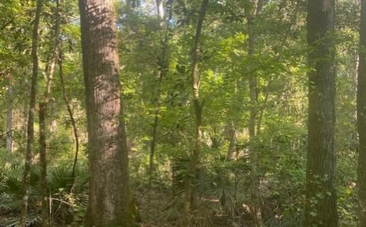 Pictures of Land property located at 768th St, Old Town, FL 32680 for sales - image #1