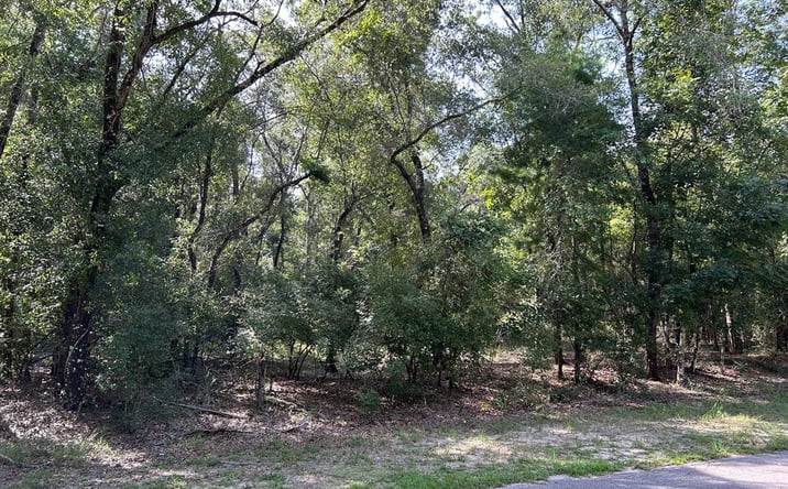 Pictures of Land property located at 00 NW 82nd Ter, Bell, FL 32619 for sales - image #1