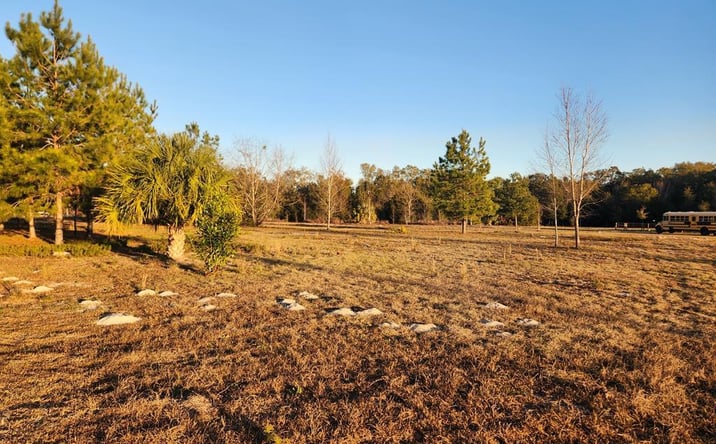 Pictures of Land property located at 76th Ave, Chiefland, FL 32626 for sales - image #1