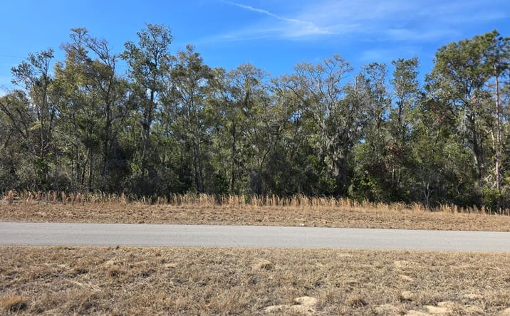Pictures of Land property located at TBD NW 90th Ave, Chiefland, FL 32626 for sales - image #1