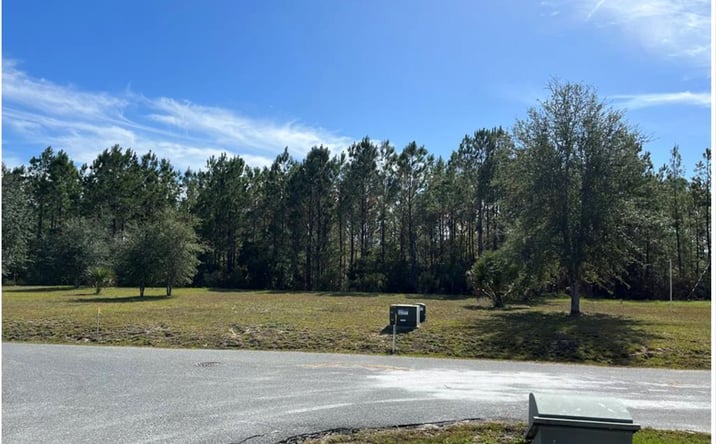 Pictures of Land property located at 869th Loop, Steinhatchee, FL 32359 for sales - image #1