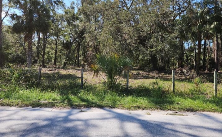 Pictures of Land property located at 01 SE 304th St, Cross City, FL 32628 for sales - image #1