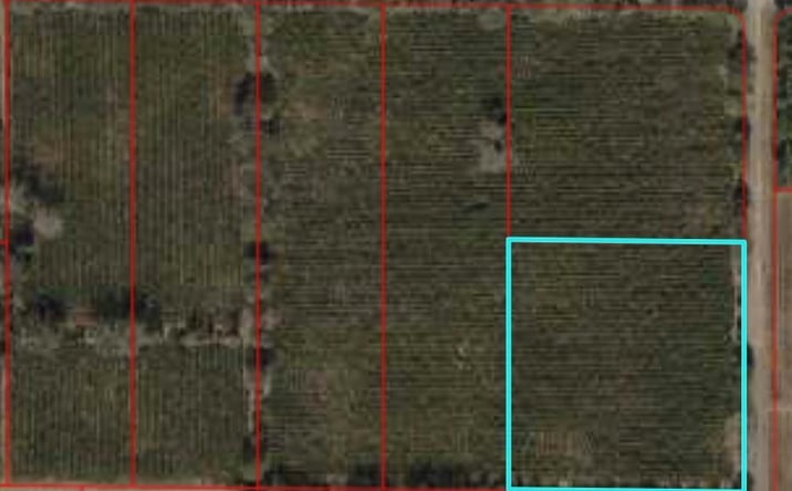 Pictures of Land property located at NW 140th Ave, Chiefland, FL 32626 for sales - image #1