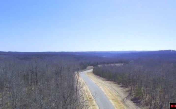 Pictures of Land property located at Tract 8 Hwy 201 North, Clarkridge, AR 72623 for sales - image #1