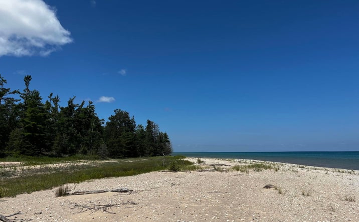 Pictures of Land property located at Beaver Island, Beaver Island, MI 49782 for sales - image #1