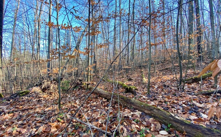 Pictures of Land property located at Lots 36-39 Chemin De La Montagne, Wolverine, MI 49799 for sales - image #1