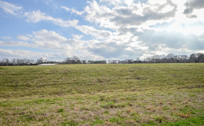 Pictures of Land property located at US Hwy 82, Starkville, MS 39759 for sales - image #1