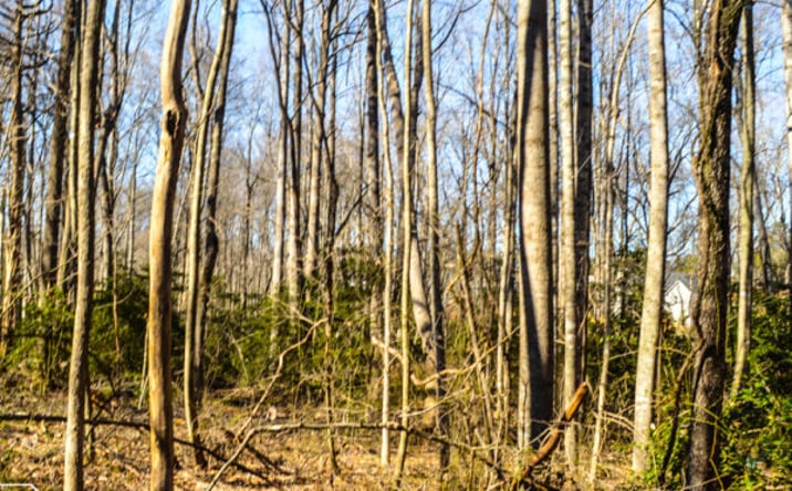 Pictures of Land property located at Suber Drive, Wellford, SC 29385 for sales - image #1