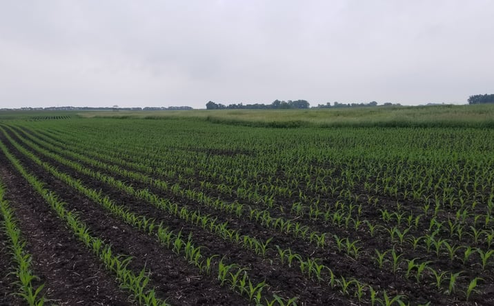 Pictures of Land property located at 0 330th Ave/270th St, Westbrook, MN 56183 for sales - image #1