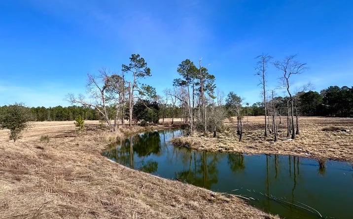 Pictures of Land property located at 1399 Wildwood Church Rd, Pembroke, GA 31321 for sales - image #1