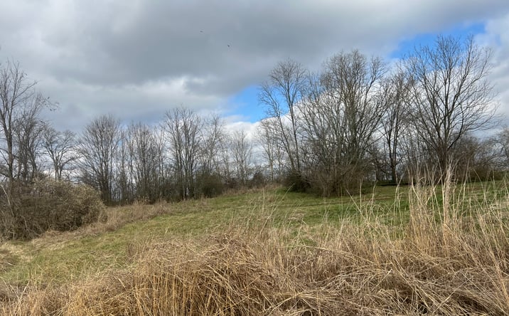Pictures of Land property located at 915 1st Ave, Mount Pleasant, TN 38474 for sales - image #1