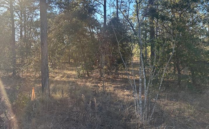 Pictures of Land property located at SW Seaweed Ave, Dunnellon, FL 34431 for sales - image #1