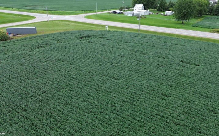 Pictures of Land property located at 22584 160th Street, Bloomfield, IA 52537 for sales - image #1