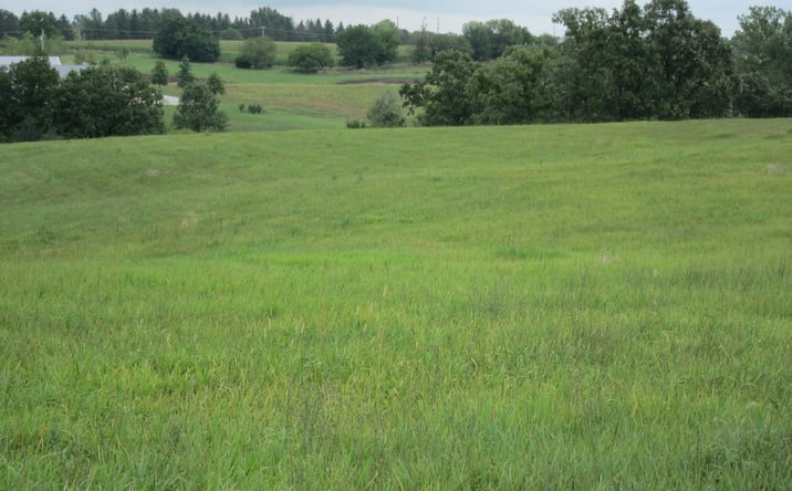 Pictures of Land property located at XX Rural Route, Chariton, IA 50049-8385 for sales - image #1