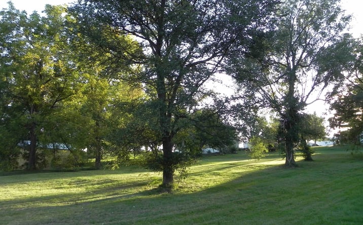 Pictures of Land property located at 106 Tinder Street, Bedford, IA 50833 for sales - image #1