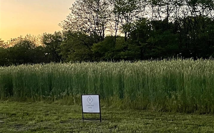 Pictures of Land property located at 4006 Concord Lane, Wapello, IA 52653-9169 for sales - image #1