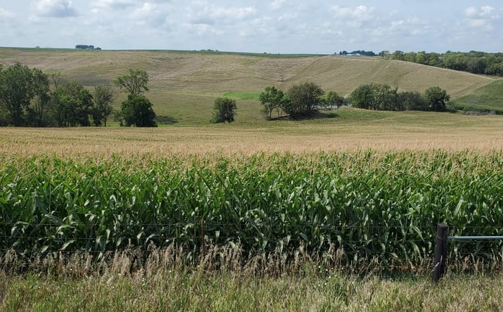 Pictures of Land, Special Purpose property located at Lot 9 Donna Reed Road, Denison, IA 51442 for sales - image #1