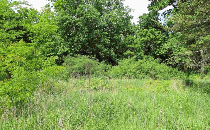 Pictures of Land, Special Purpose property located at 1008 Palisades Court, Iowa Falls, IA 50126 for sales - image #1