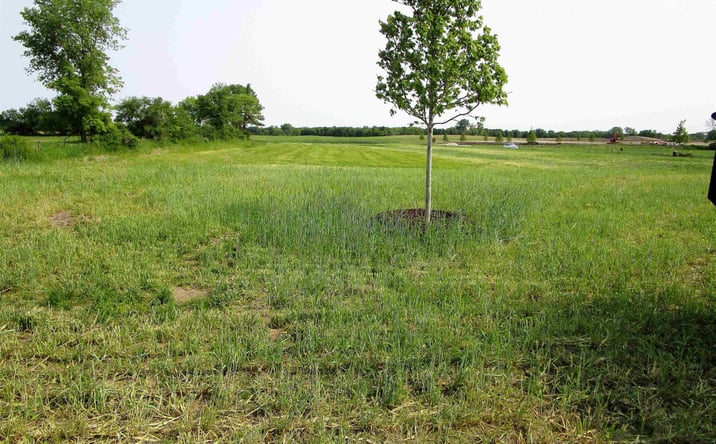 Pictures of Land, Special Purpose property located at 2510 Kenison Way, Iowa Falls, IA 50126 for sales - image #1