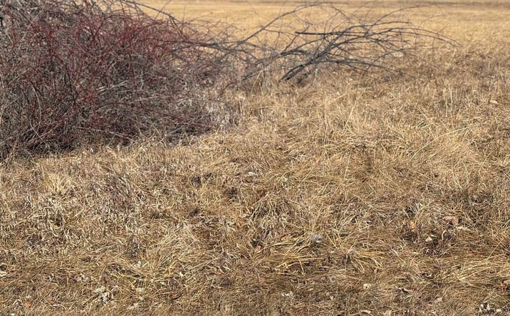 Pictures of Land property located at 11 Riverview Terrace, Nauvoo, IL 62354 for sales - image #1