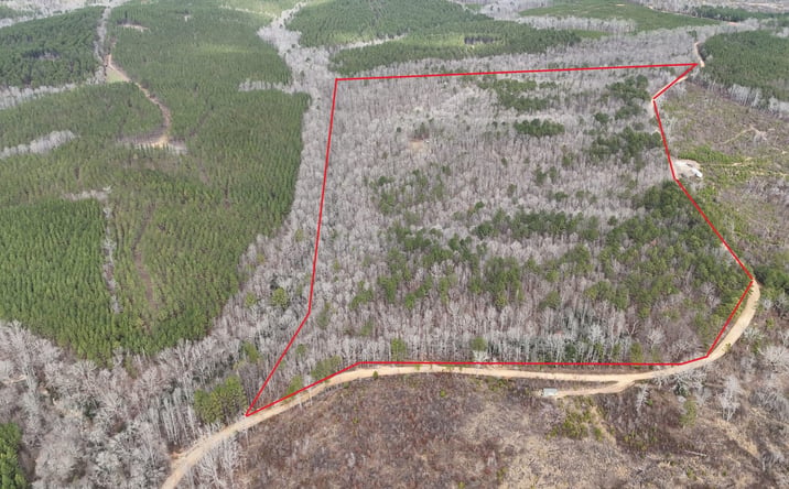 Pictures of Land property located at County Road 325, Hamilton, AL 35570 for sales - image #1