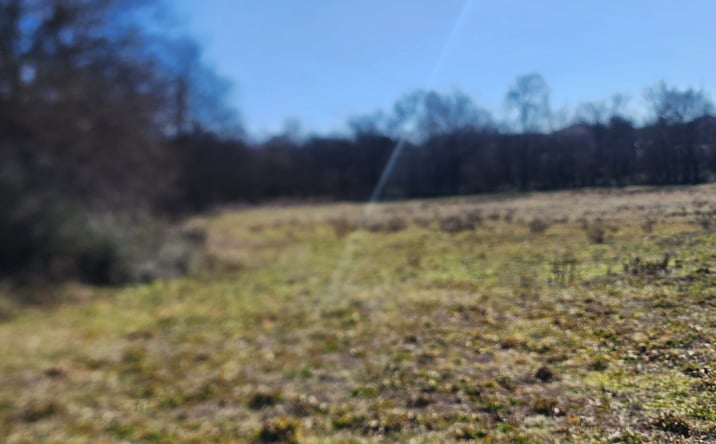 Pictures of Special Purpose property located at 0 Hwy 43, Lawrenceburg, TN 38464 for sales - image #1