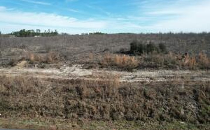 Pictures of Land property located at 0 Storm Branch Leg, Aiken, SC 29803 for sales - image #1