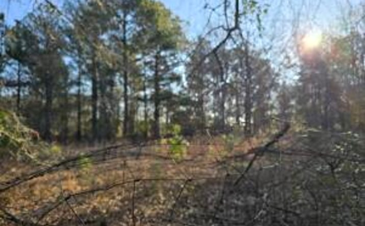 Pictures of Industrial, Land property located at 000 Sc-64, Barnwell, SC 29812 for sales - image #1