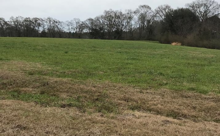 Pictures of Land property located at 0 Whispering Lane Lot 58, Poplarville, MS 39470 for sales - image #1