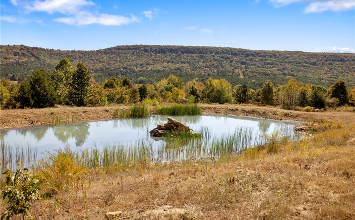 Pictures of Special Purpose property located at 86 Lots Round Mountain Estates, Harrison, AR 72601 for sales - image #1