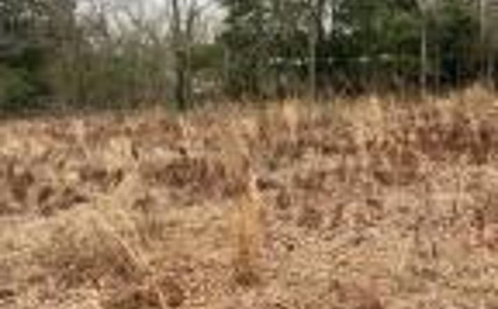 Pictures of Land property located at 000 Hedge Road, Aiken, SC 29801 for sales - image #1
