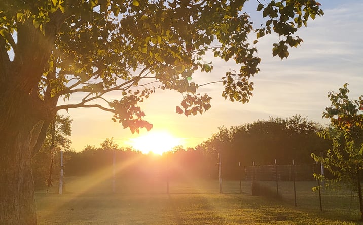 Pictures of Land, Mobile Home Park property located at 333 24th St, San Leon, TX 77539 for sales - image #1